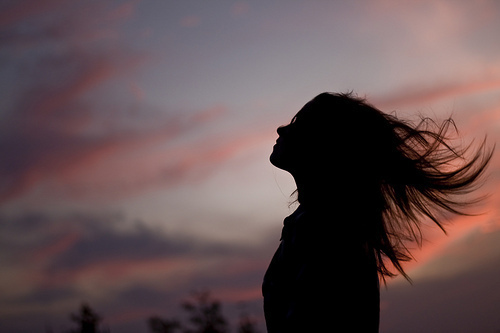 Only The Winds