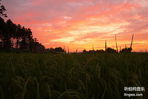 夏の夕暮れ