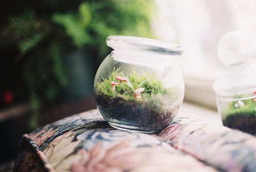 바라보다【盼念】