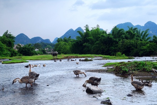 小河淌水
