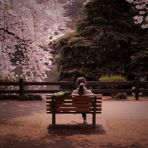 Solitude 
