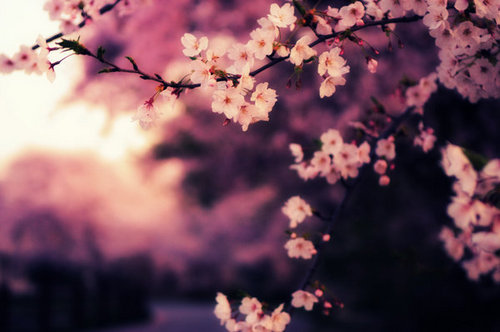 Evening Calm