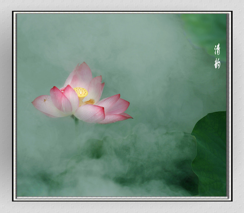 雾里看花  二胡