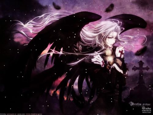 Silvery Wings