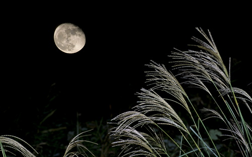 Magic Is The Moonlight