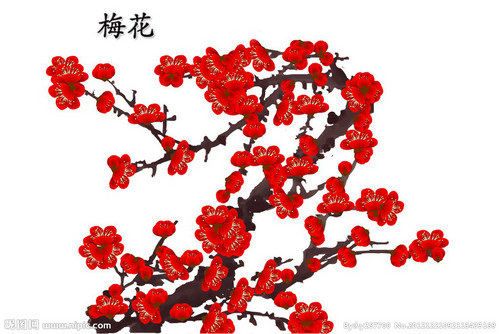 梅花