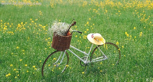 春芽