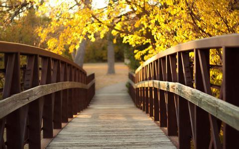 At the Wooden Bridge