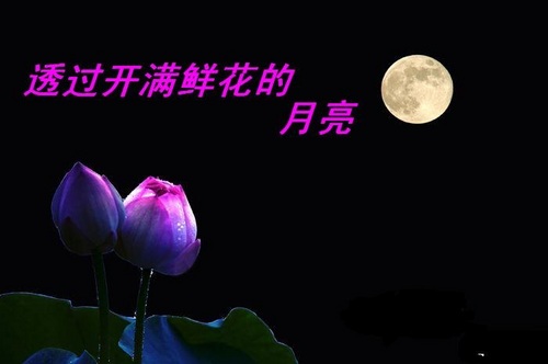 透过开满鲜花的月亮  萨克斯