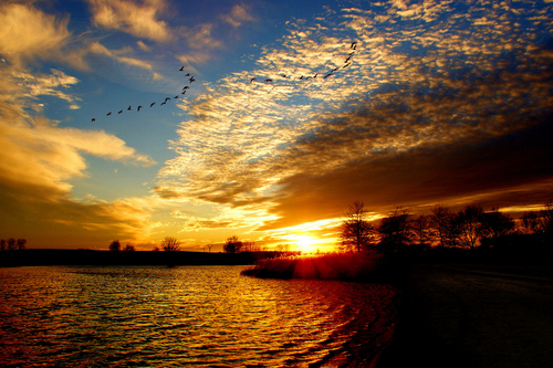 This Morining