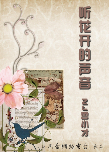听花开的声音—NJ兽小才
