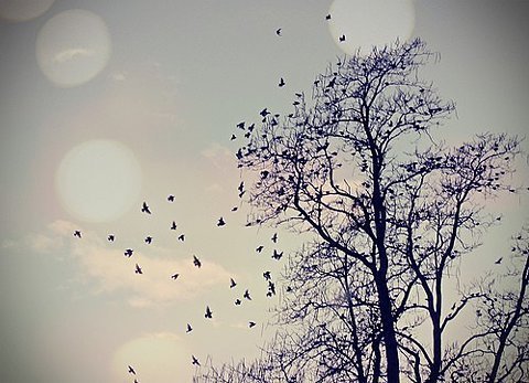 Daybreak