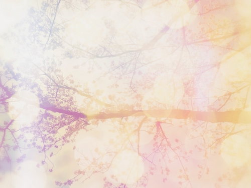 DAYDREAM