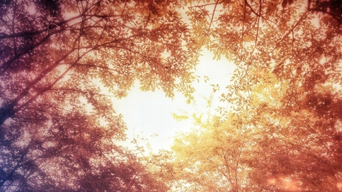 Time to Light