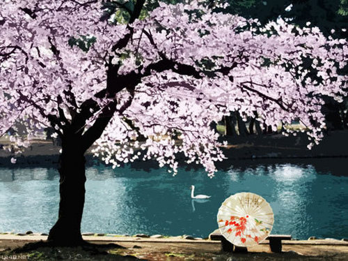 エメラルドの海