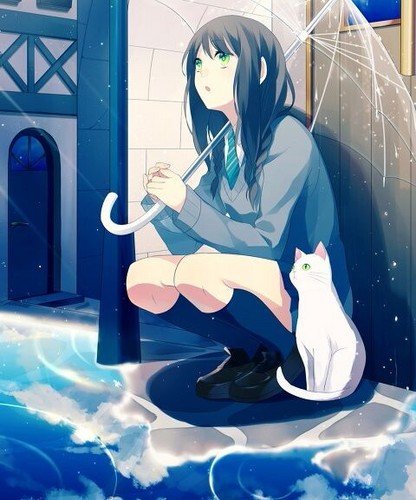 太阳と向日葵（instrumental）