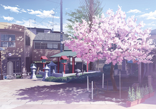 晴天に、舞い降る桜