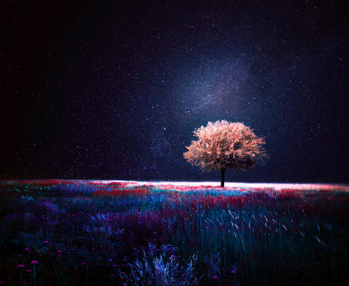 Fantasy Piano [Uplifting mix]-Sky Emotion