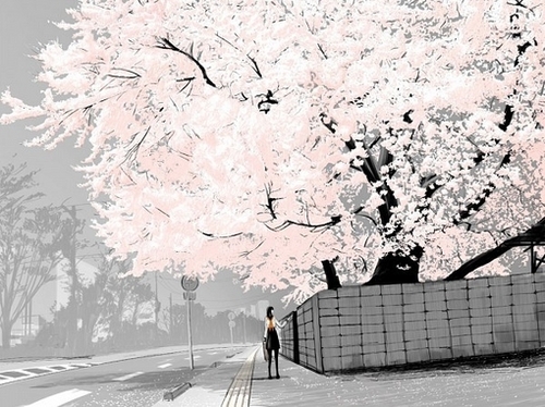 樱树花  （节奏）