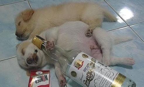 The Alcoholic