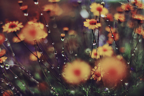 Do Not Forget Me Tomorrow (Original mix)