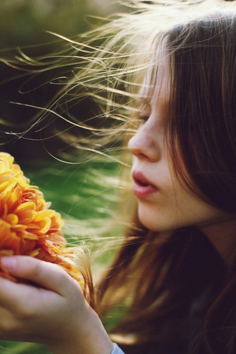  Buttercup (autumn 2014 mix)