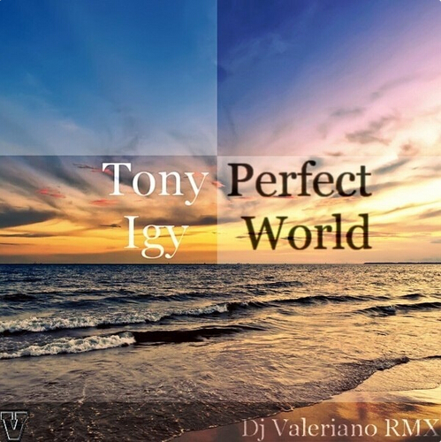 Perfect World (Dj ValeRiano Remix) 