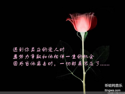 10 Will you no come back again（你不会再回来）