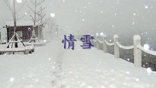 情雪  (古典吉他版)  