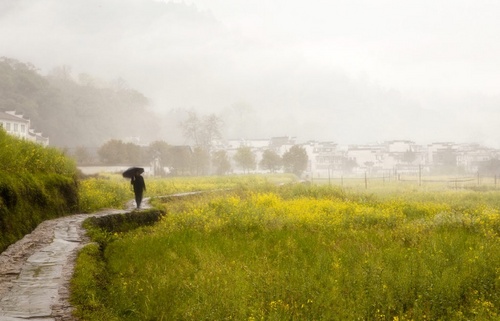 雨