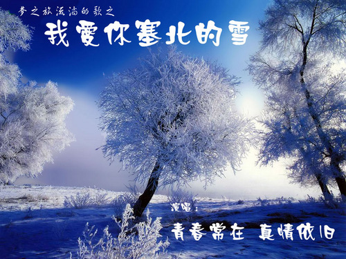 我爱你塞北的雪 