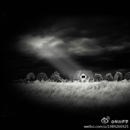 Song from a secret garden ( 奚琴 )