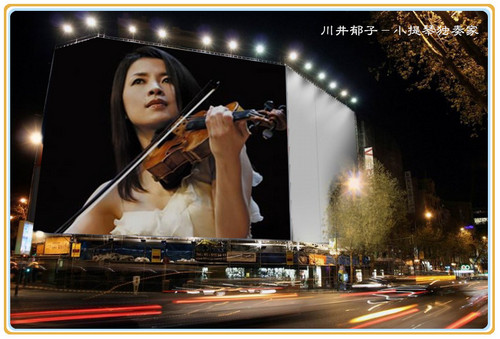 The Red Violin (小提琴)