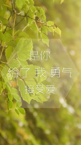 肯去承担爱（钢琴）