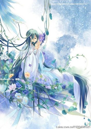 蝴蝶花开 ( 小提琴 )
