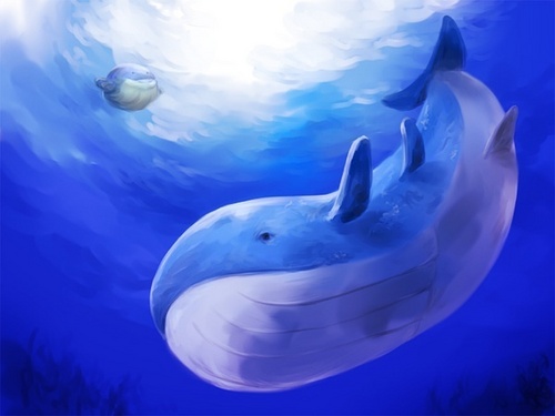 第十九期：“鲸歌”