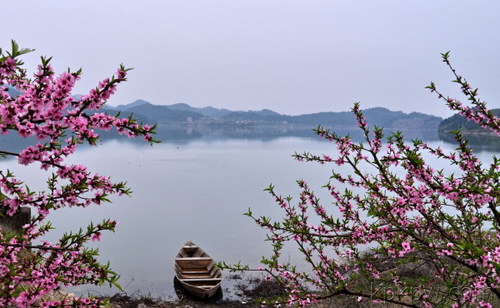 桃花过渡