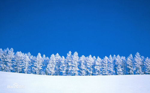 梦雪（爱尔兰哨笛）