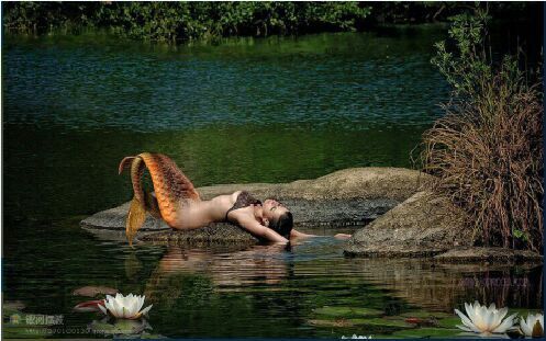 Mermaid 美人鱼 