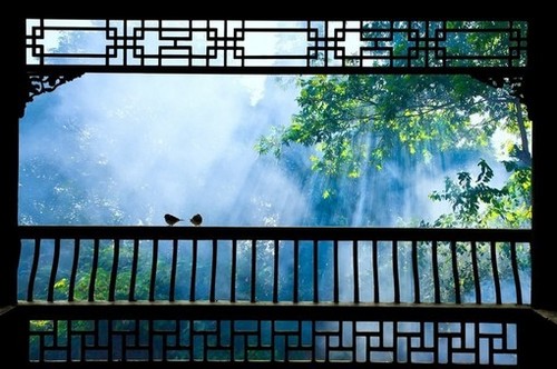 一帘幽梦