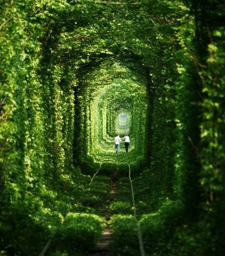 Greensleeves（钢琴）