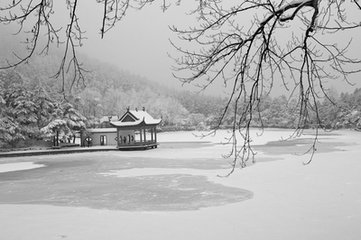 天地有雪