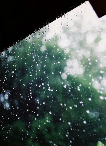 留恋～夏の記憶