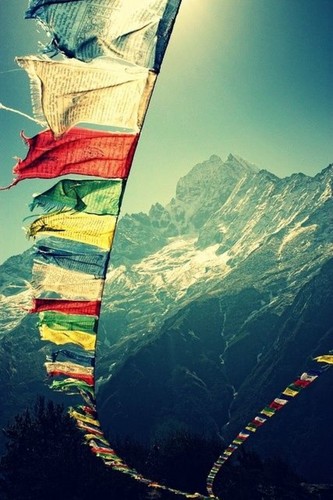 西藏之恋