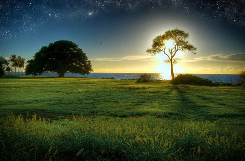 Rising sun (Original mix)