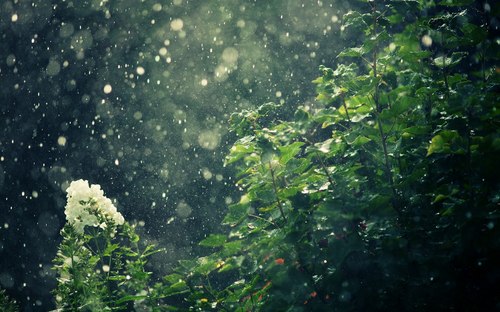 Blessing The Rain