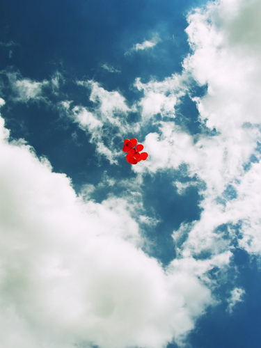 Love or War 