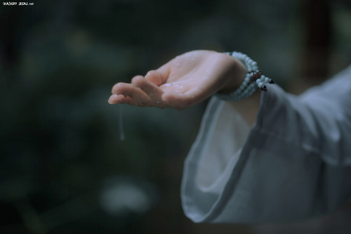 心雨 ( 小提琴 )