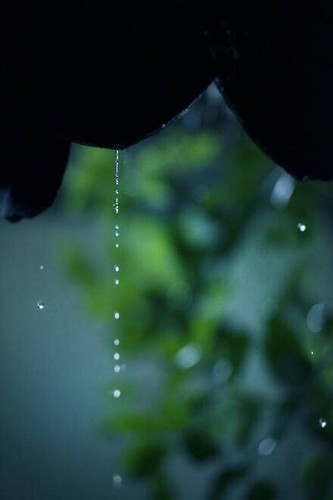 Raindrops