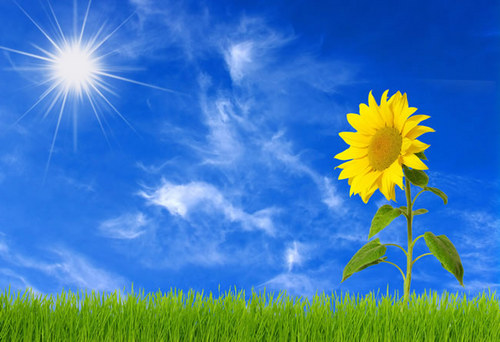 You Are My Sunshine (piano)
